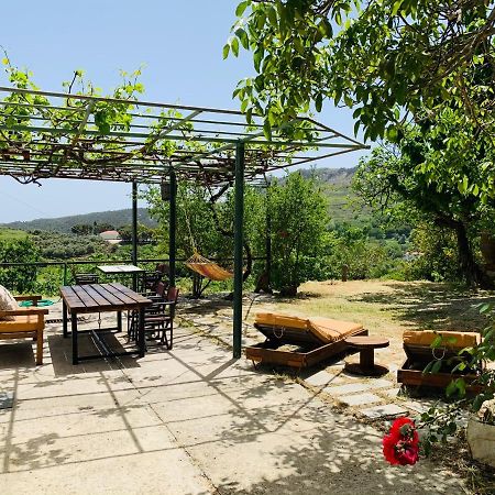 Temenia House Villa Exteriör bild