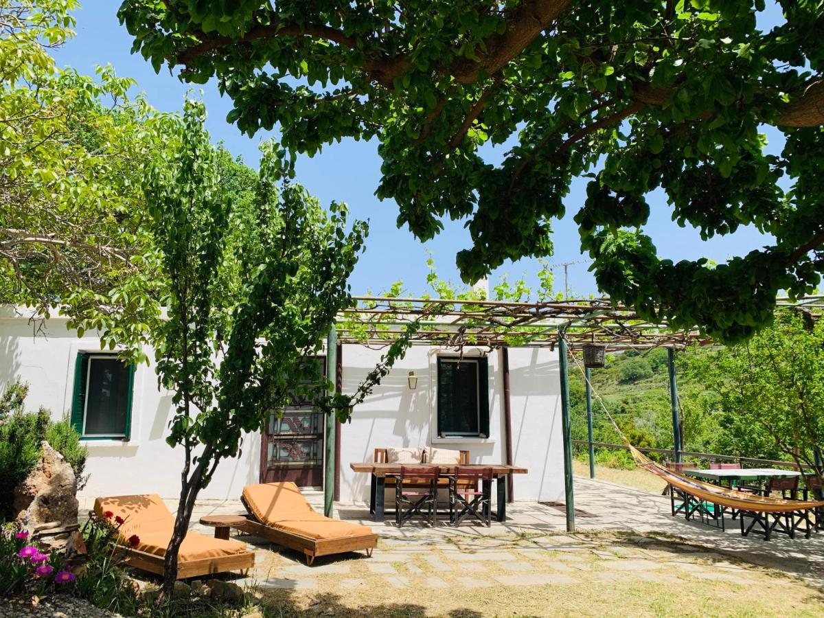 Temenia House Villa Exteriör bild